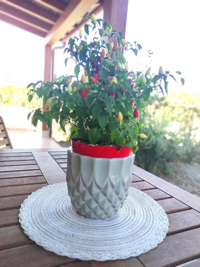 Holiday Home Mennulita Липари Екстериор снимка