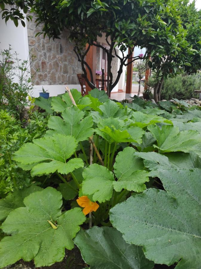 Holiday Home Mennulita Липари Екстериор снимка