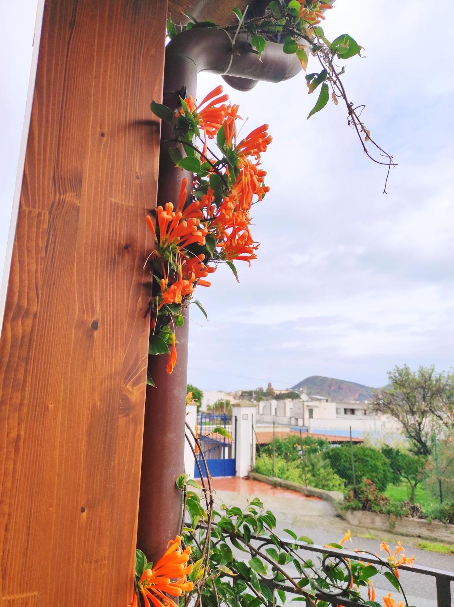 Holiday Home Mennulita Липари Екстериор снимка